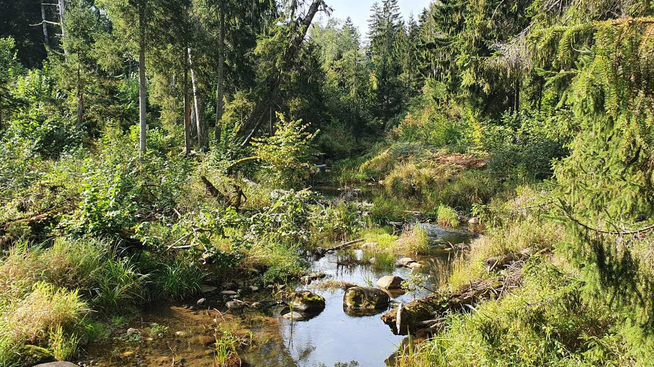 Saldus - Remte - Viesata - Tukums