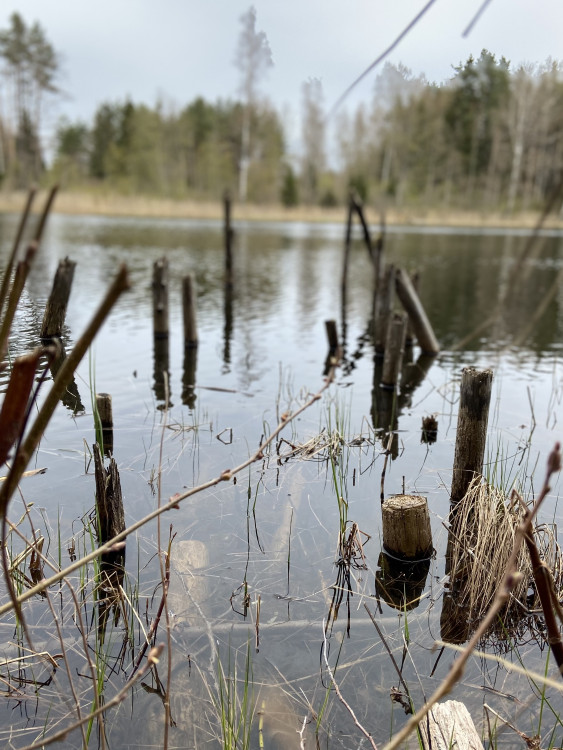 Rīga - Biksti - Auce - Īle - Rīga