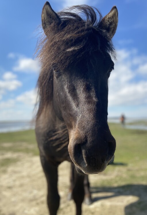 Dendrārijs - Jūra - Engures ezers