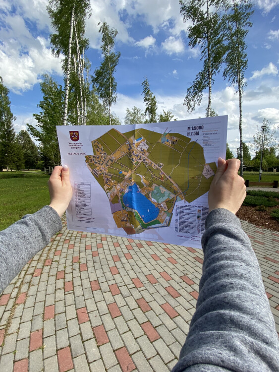 Baloži - Vecumnieki